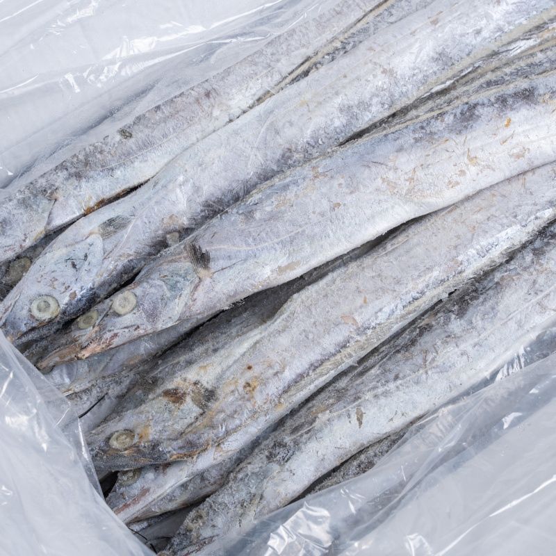 浙江精品带鱼一手货源规格齐全一件代发批发对接商超