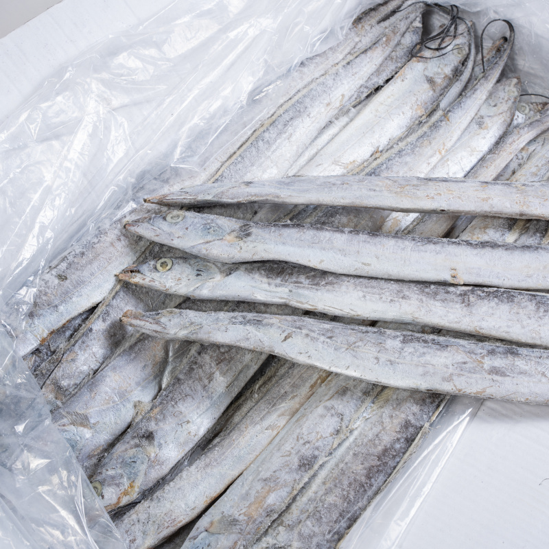 浙江精品带鱼一手货源规格齐全一件代发批发对接商超