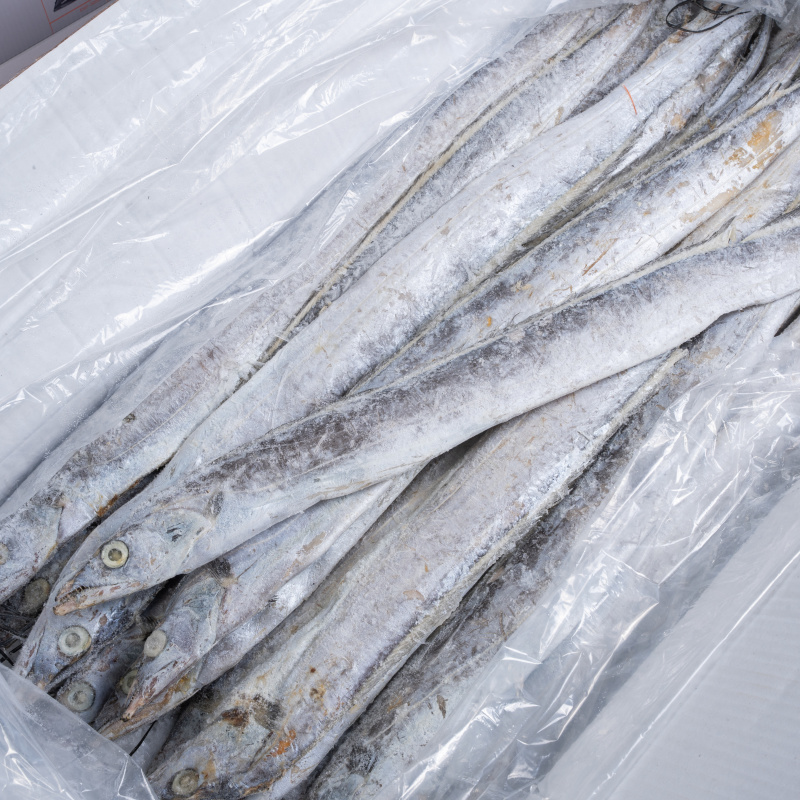 浙江精品带鱼一手货源规格齐全一件代发批发对接商超