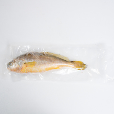精品黄鱼冷冻抽真空肉质鲜美物美价廉可全国一件代发
