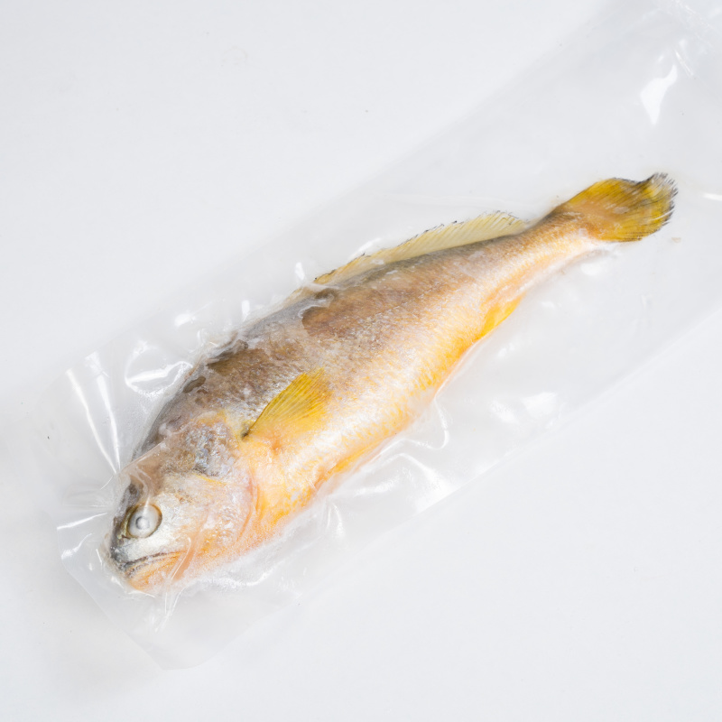 精品黄鱼冷冻抽真空肉质鲜美物美价廉可全国一件代发