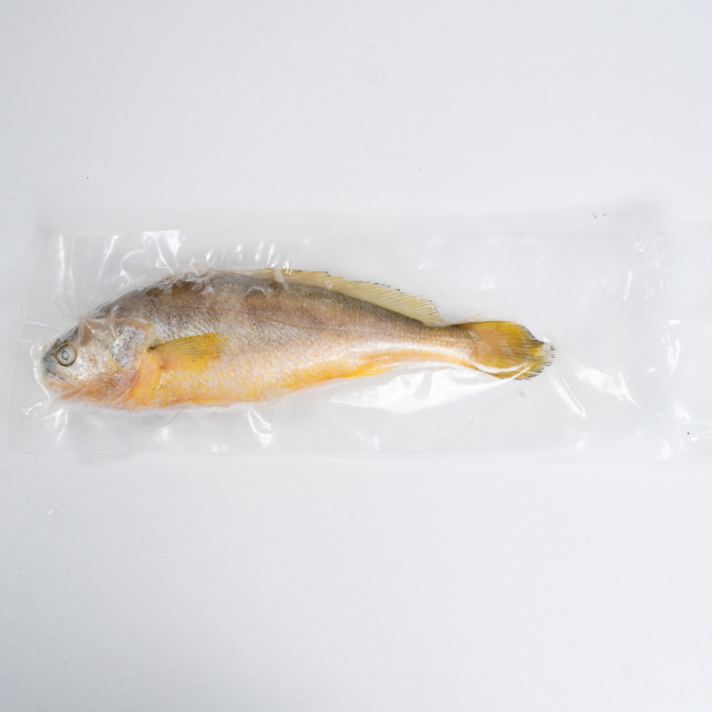 精品黄鱼冷冻抽真空肉质鲜美物美价廉可全国一件代发