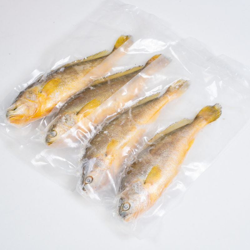精品黄鱼冷冻抽真空肉质鲜美物美价廉可全国一件代发