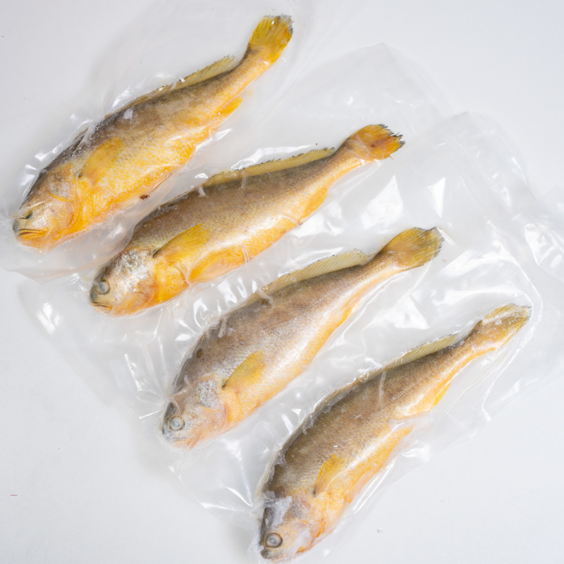 精品黄鱼冷冻抽真空肉质鲜美物美价廉可全国一件代发
