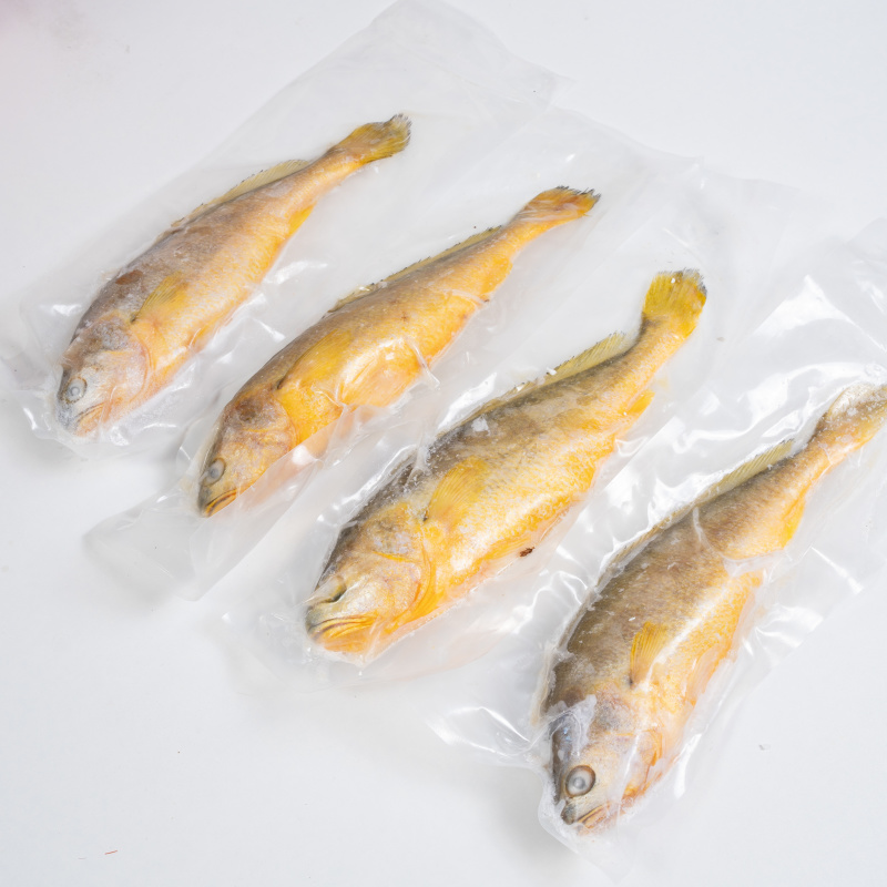 精品黄鱼冷冻抽真空肉质鲜美物美价廉可全国一件代发