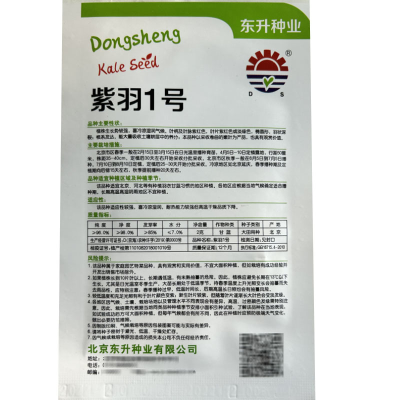 紫色羽衣甘蓝种子皱叶观赏及食用品种基地品种