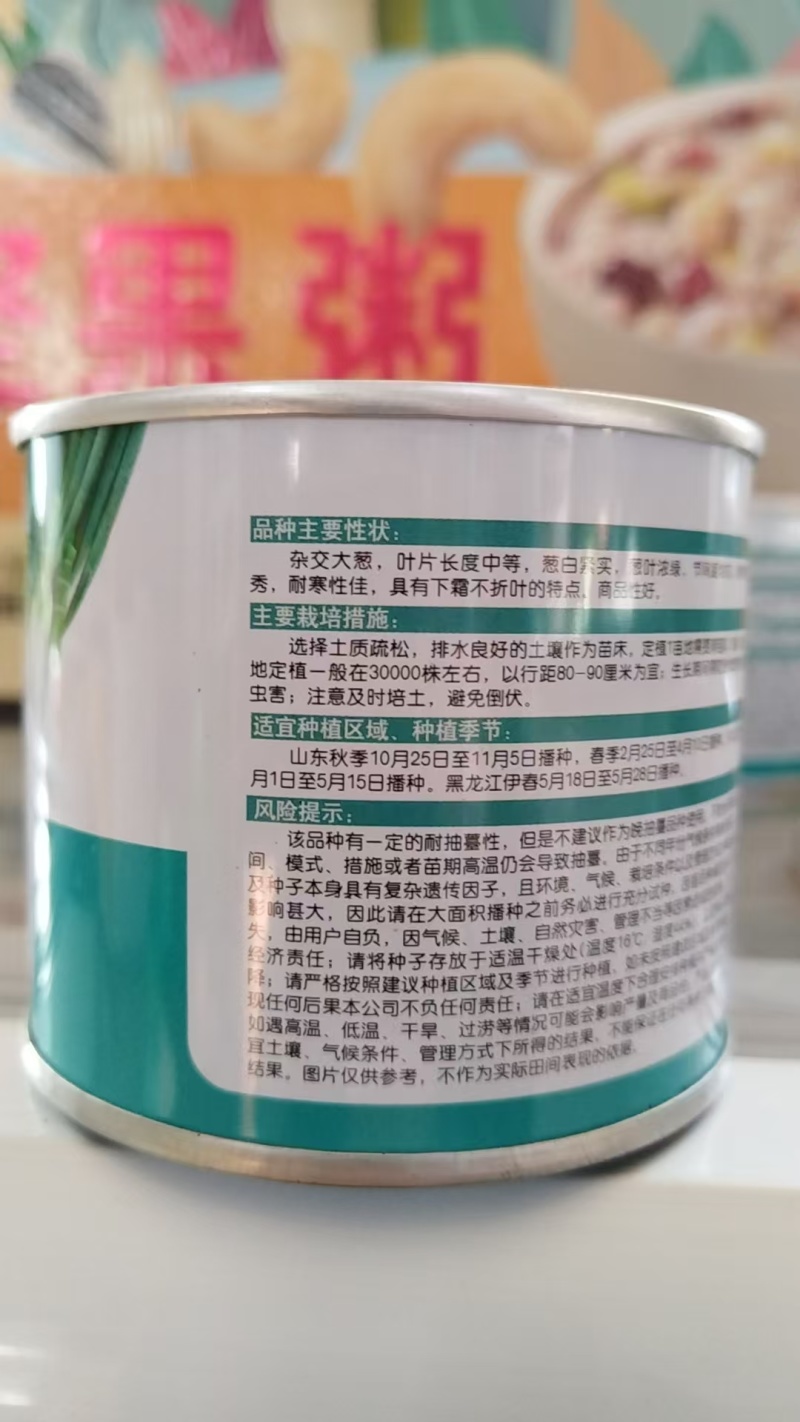 大葱种子