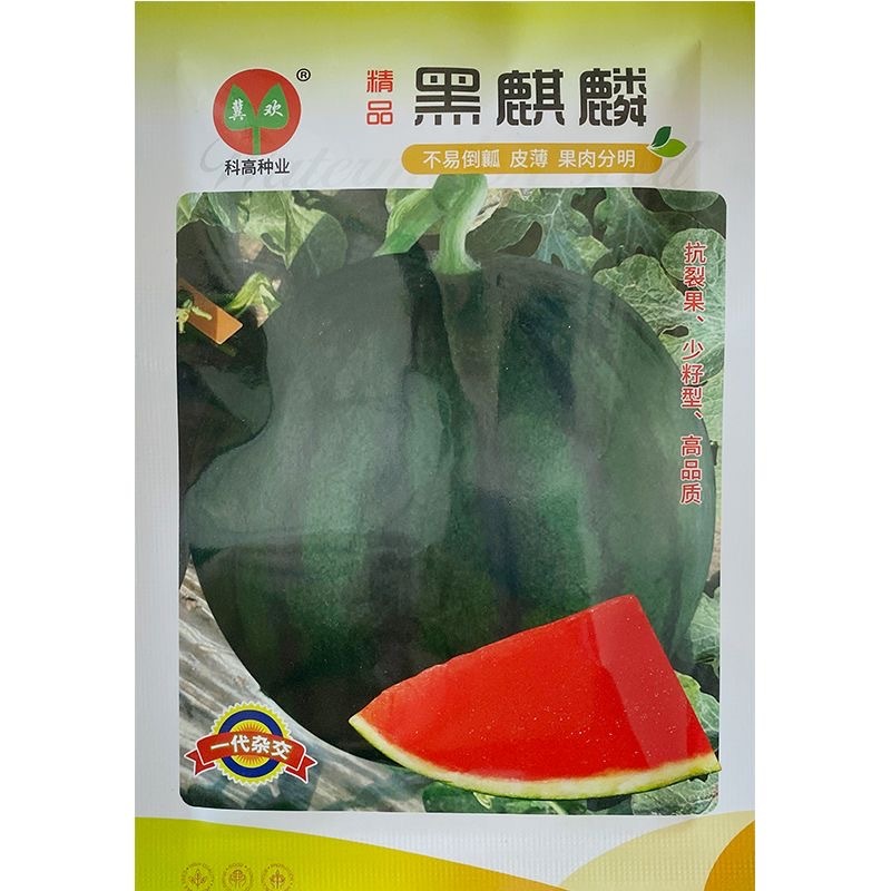 黑麒麟西瓜种子耐重茬抗裂果少籽型大红瓤西瓜种子