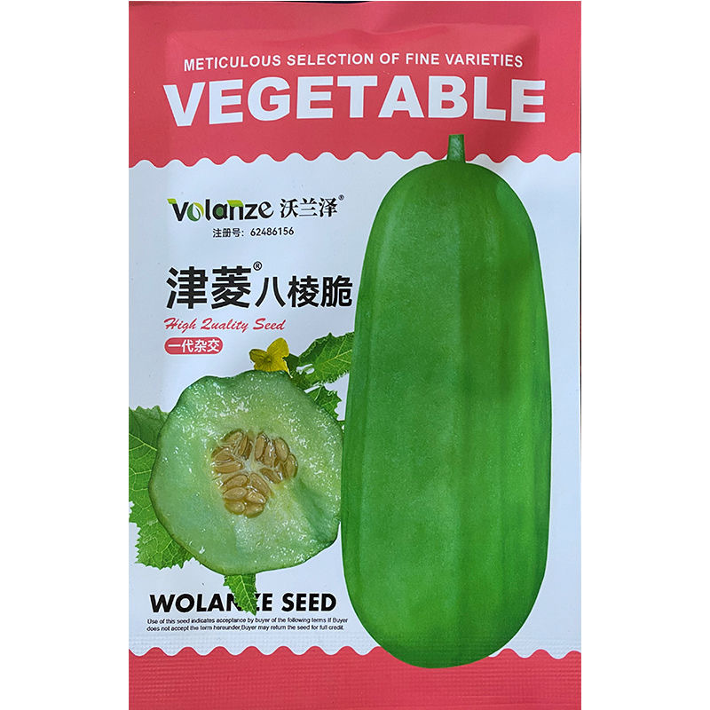 津菱八棱脆甜瓜种子甜脆可口幼瓜不苦口感好
