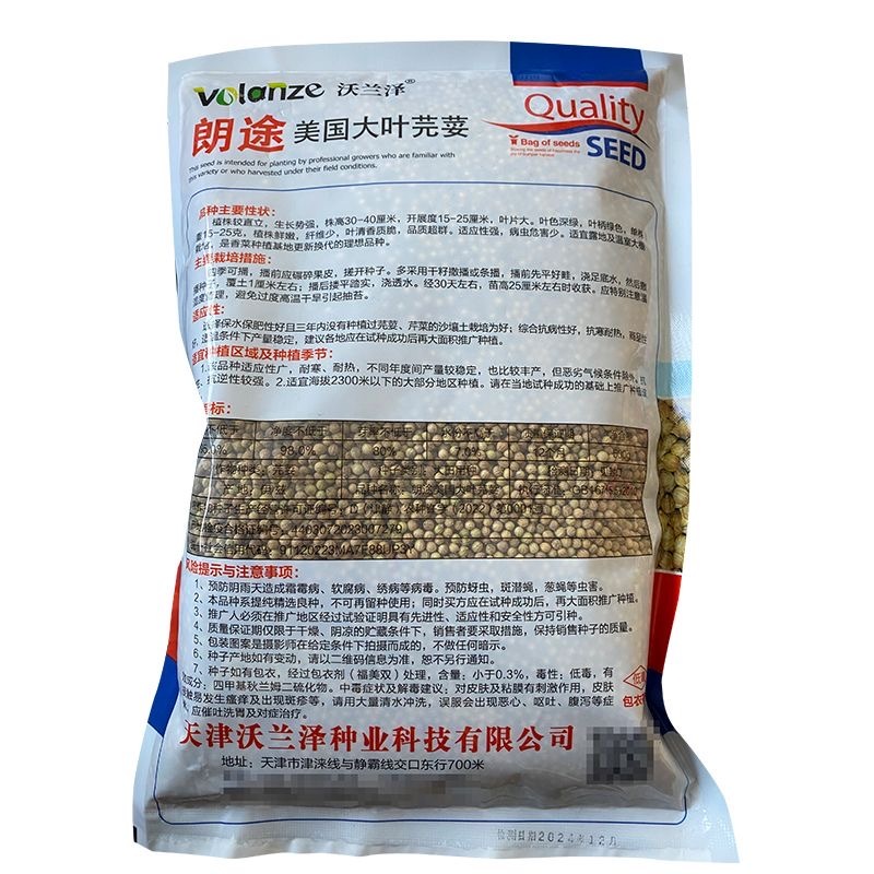 朗途美国大叶香菜种子耐热耐寒耐湿抗抽苔叶清香质脆