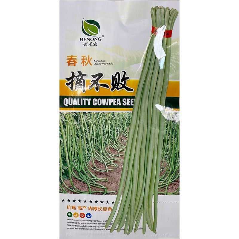 春秋摘不败豇豆种子抗病肉厚长豆角种子豆荚绿白不鼓豆