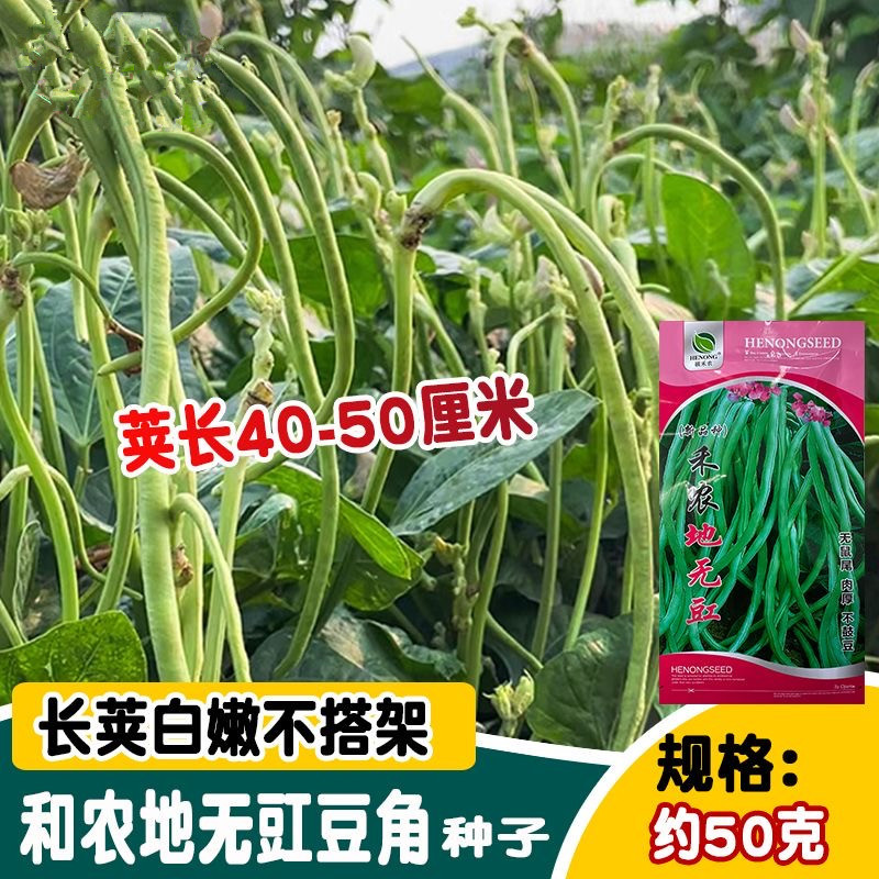 禾农地无架豇豆种子不搭架长豆角种子无鼠尾肉厚不鼓豆
