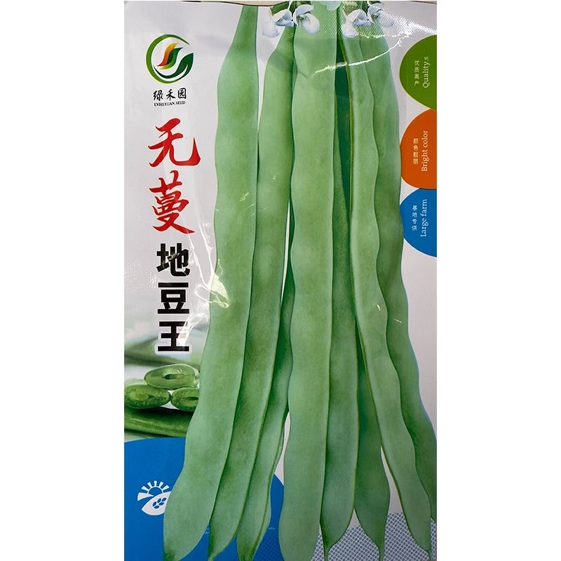 无蔓地豆王四季豆种子短蔓矮生无需搭架早熟上市早