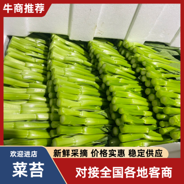 武汉菜苔广东甜菜心产地直销供全国电商超市物美价廉