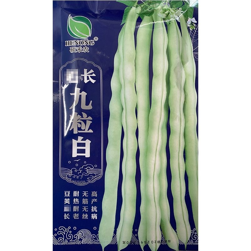 九粒白豆角种子芸豆种子耐热耐老无筋无丝抗病上市早
