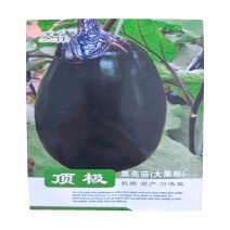顶极茄种子灯泡茄子种子中早熟杂交一代高产圆形牛心茄种子