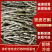 云南铁皮石斛货源充足大量现货百亩基地品质保证长期供货
