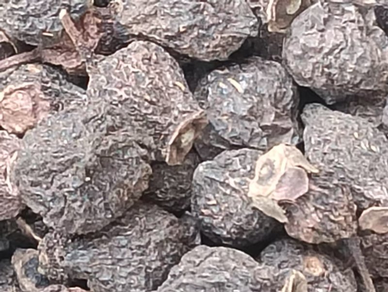 无仔刺梨，货源充足全国发货，量大从优，欢迎致电