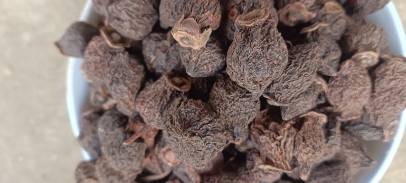 无仔刺梨，货源充足全国发货，量大从优，欢迎致电