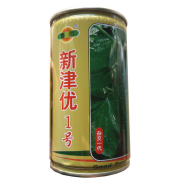 密刺黄瓜种子新津优1号长条形绿瓤有节节瓜青瓜瓜把短早春