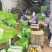 香梨精品礼盒装口感脆甜多汁对接全国电商市场社区团购