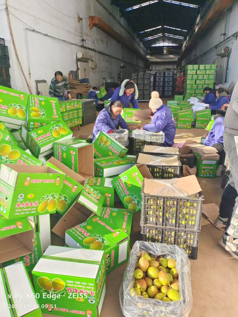 香梨精品礼盒装口感脆甜多汁对接全国电商市场社区团购