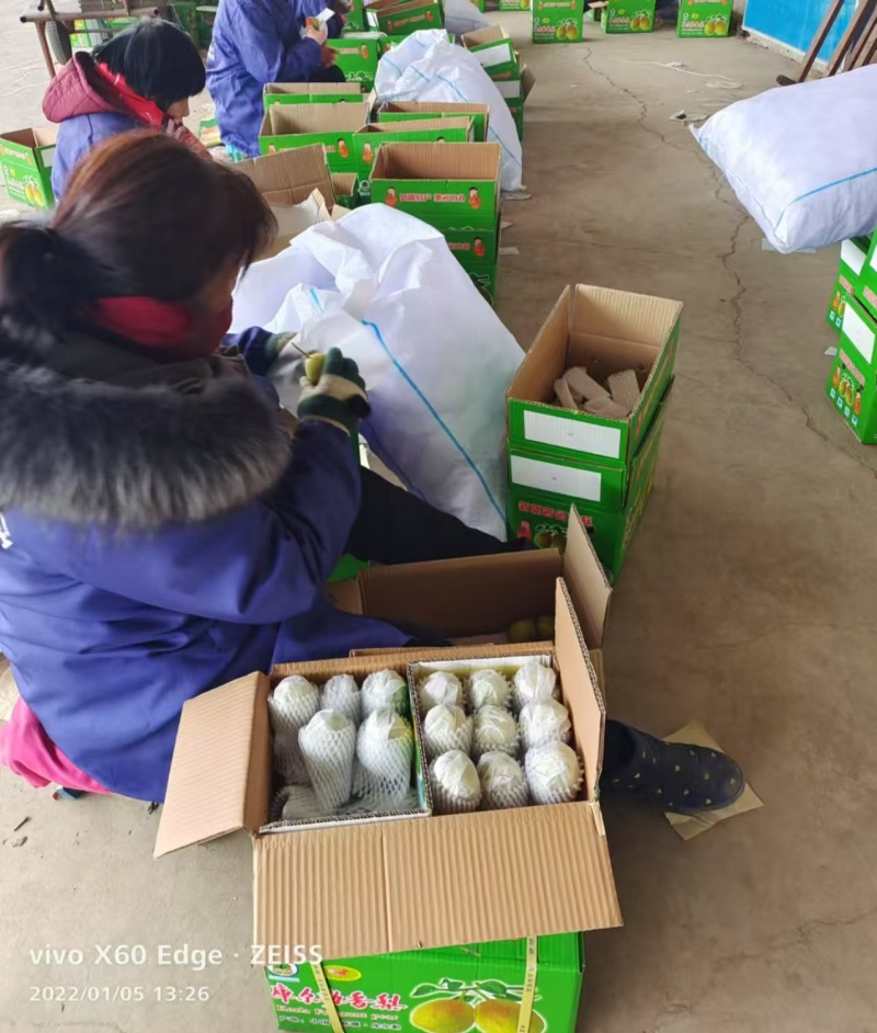 香梨精品礼盒装口感脆甜多汁对接全国电商市场社区团购