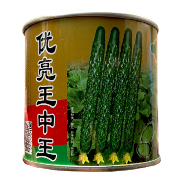 黄瓜种子青皮绿瓤优亮王中王一叶一瓜把短菜农家易种春秋