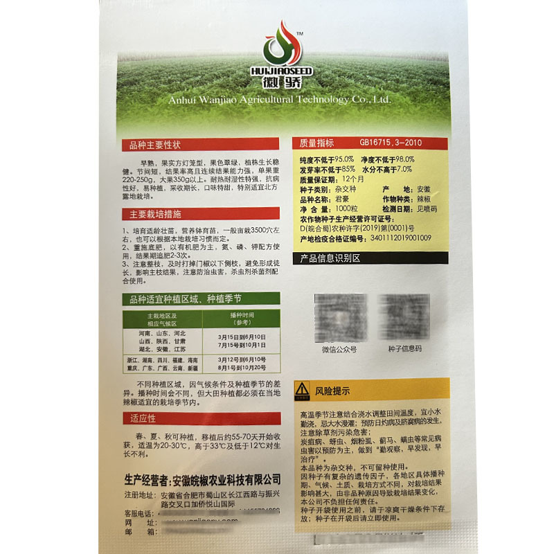甜椒种子君豪早熟灯笼椒结果率高易种植采收期长大田露地