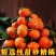 【一件代发】广西砂糖橘支持各大电商平台代发