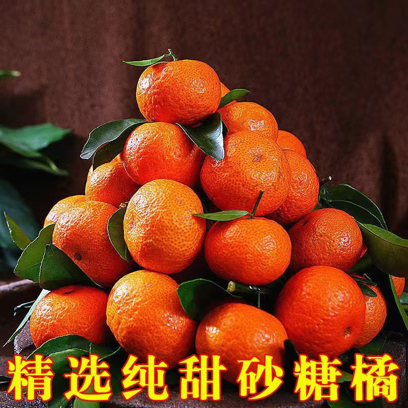 【一件代发】广西砂糖橘支持各大电商平台代发
