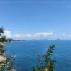 青岛翠翠茶缘茶业有限公司的一亩田店铺