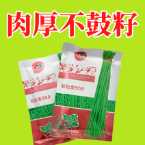 粒粒金958高端长豆角种子绿条豇豆种籽翠绿色豇豆种子