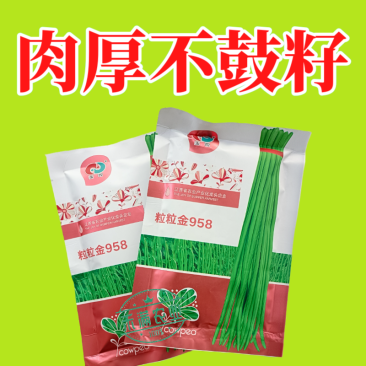 粒粒金958高端长豆角种子绿条豇豆种籽翠绿色豇豆种子