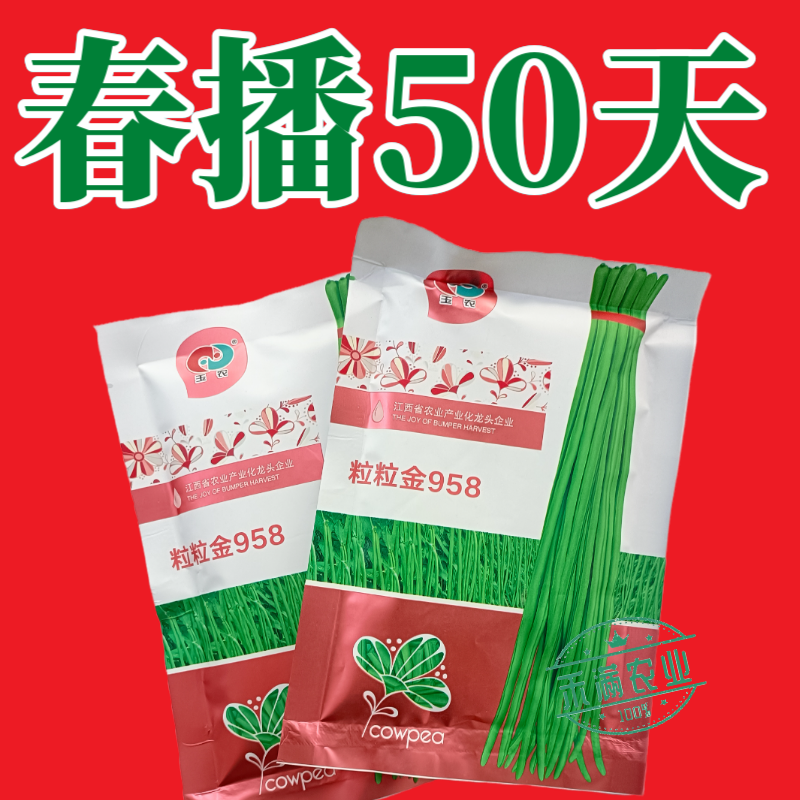 粒粒金958高端长豆角种子绿条豇豆种籽翠绿色豇豆种子