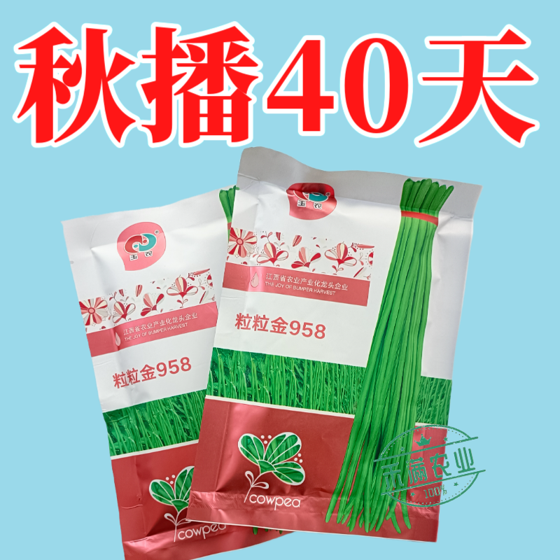 粒粒金958高端长豆角种子绿条豇豆种籽翠绿色豇豆种子