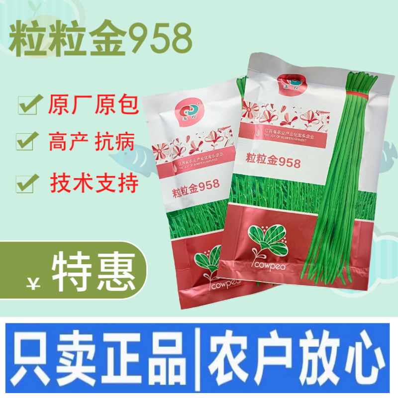 粒粒金958高端长豆角种子绿条豇豆种籽翠绿色豇豆种子