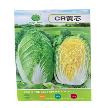 CR黄芯白菜种子春季中早熟大白菜种子65天韩国黄白菜种子