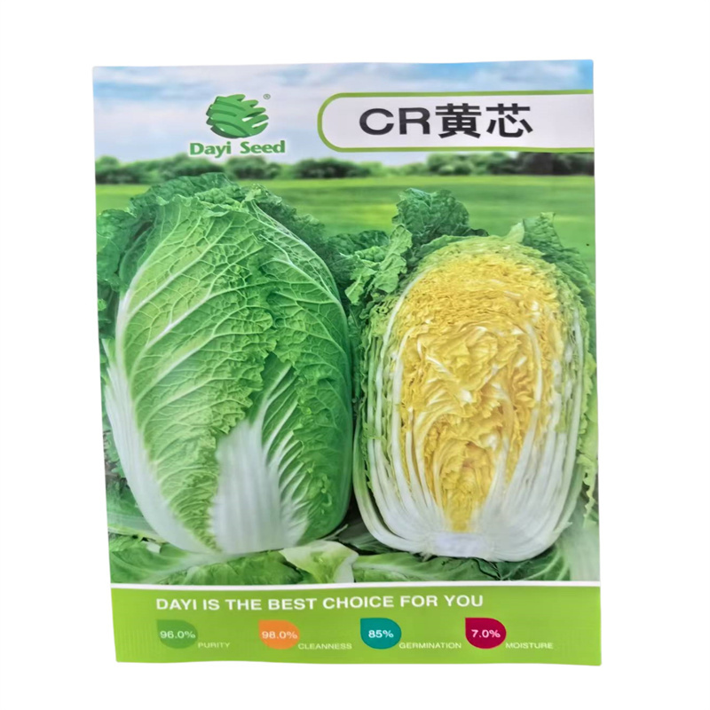 CR黄芯白菜种子春季中早熟大白菜种子65天韩国黄白菜种子
