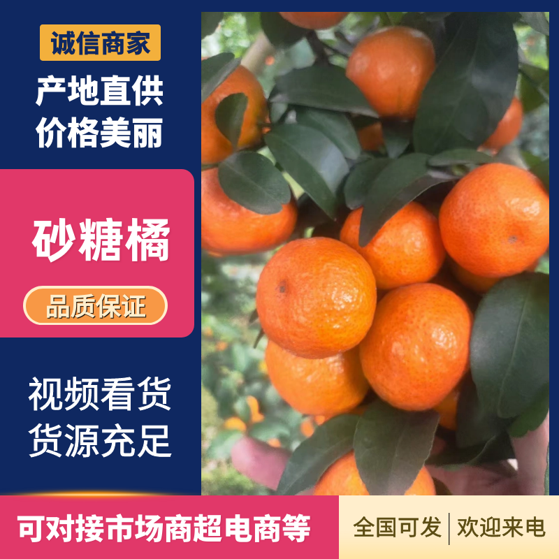 广西砂糖橘沙糖桔通货电商货纯甜无酸大量供应费用低