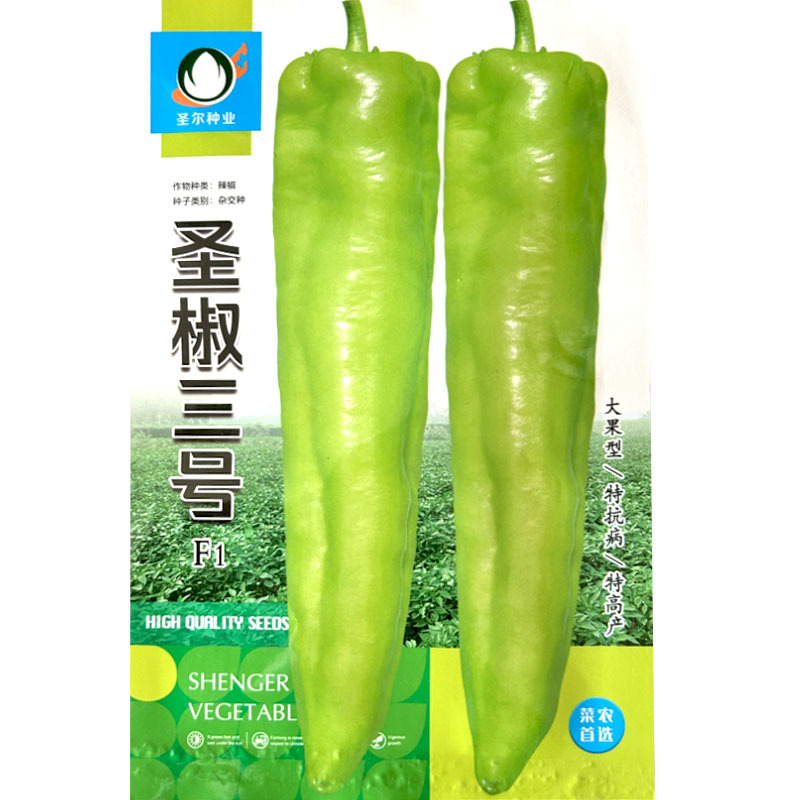 圣椒三号辣椒种子大果黄皮牛角椒耐寒南方四季播辣椒基地品种