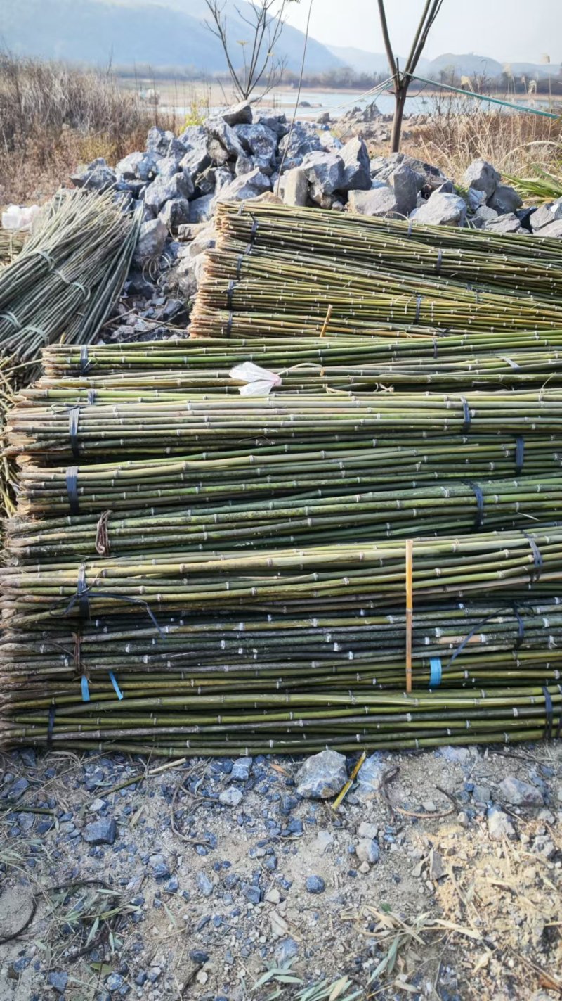 【精品竹子】竹竿菜架产地直销支持定制尺寸欢迎采购咨询