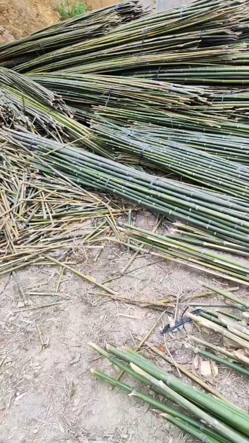 【精品竹子】竹竿菜架产地直销支持定制尺寸欢迎采购咨询