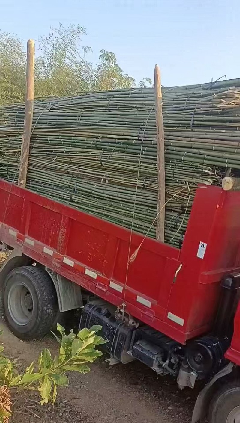 精品菜架竹竹竿量大质优产地直销欢迎各大老板前来采购