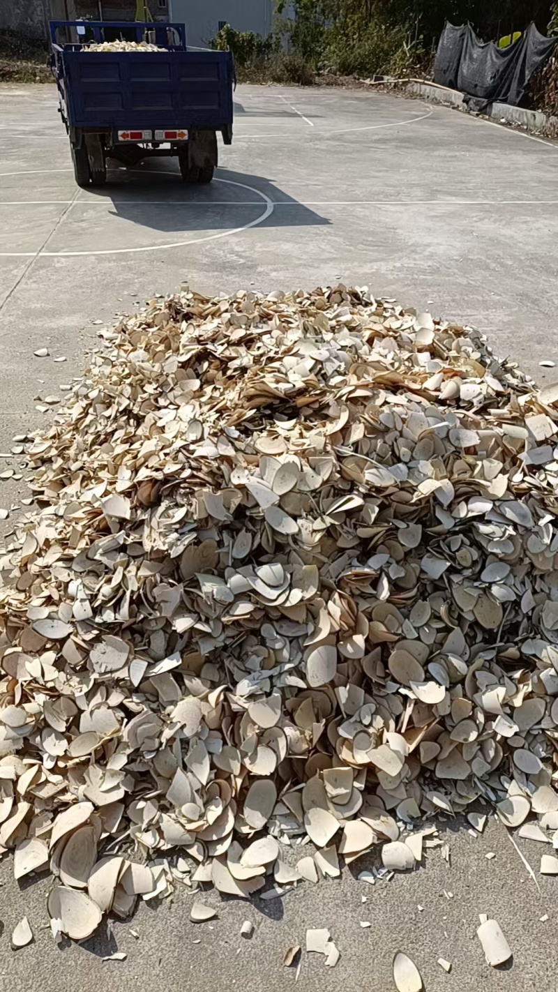 三叉苦木切片大小片都有承接批发加工源头货便宜耐运输