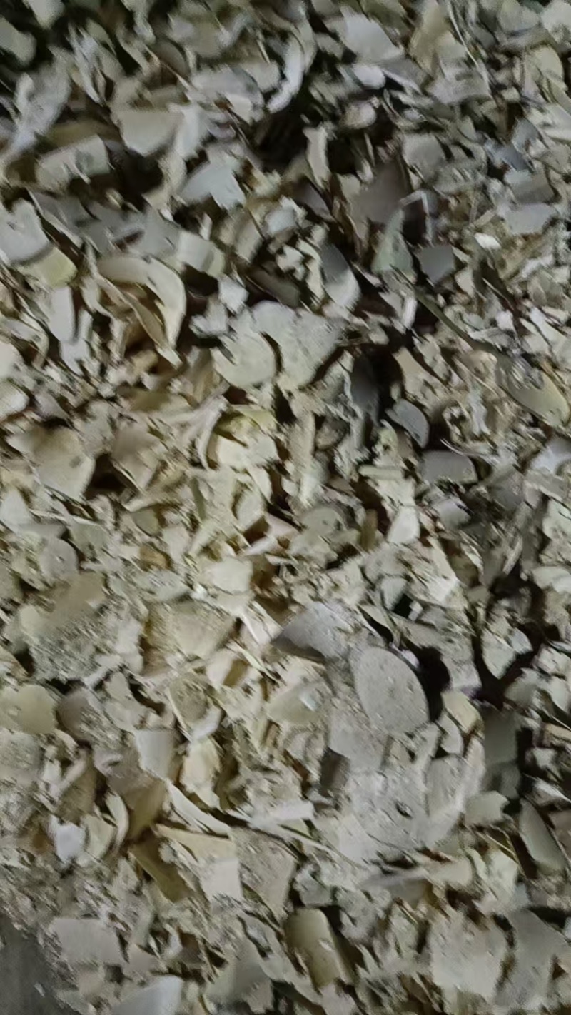 三叉苦木切片大小片都有承接批发加工源头货便宜耐运输