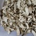 三叉苦木切片大小片都有承接批发加工源头货便宜耐运输
