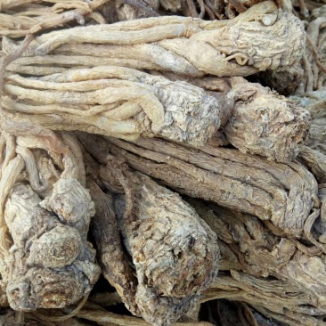 当归统货中两条全国发货欢迎联系质量优良