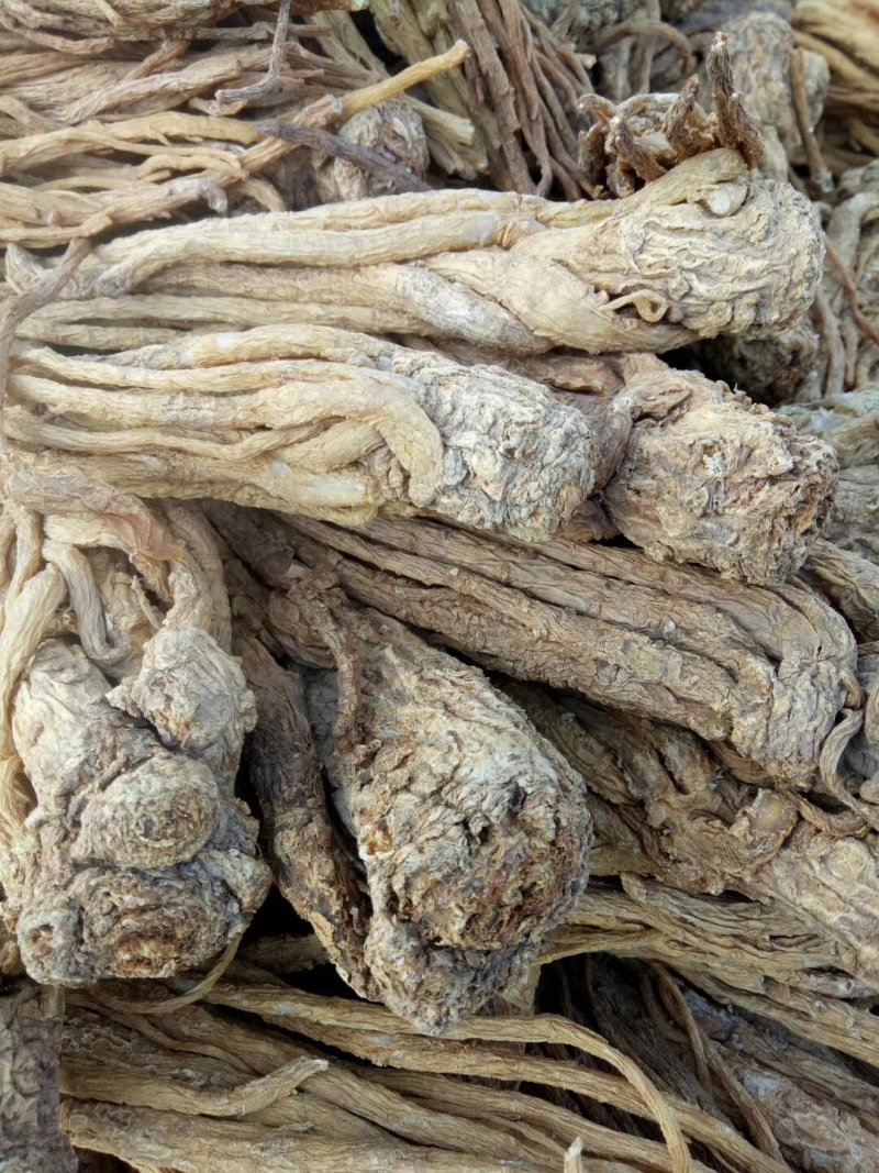 当归统货中两条全国发货欢迎联系质量优良