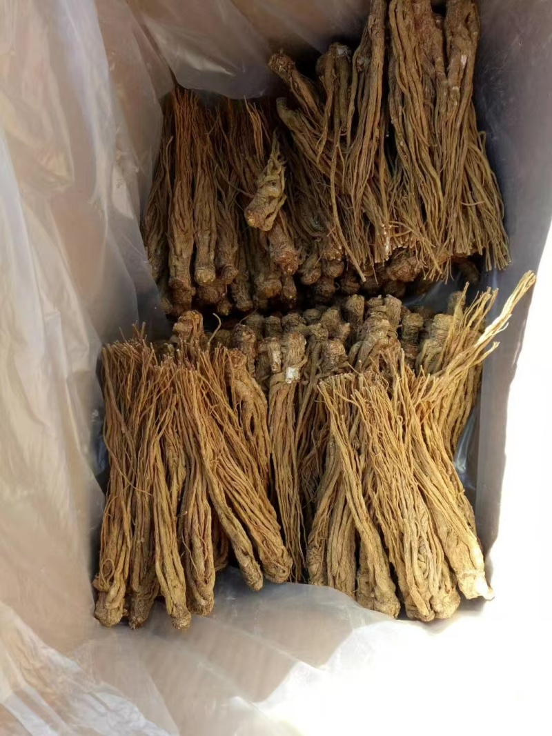 当归统货中两条全国发货欢迎联系质量优良